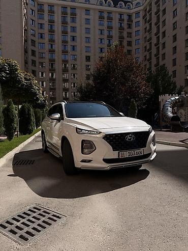 шина 19: Hyundai Santa Fe: 2019 г., 2 л, Автомат, Бензин, Кроссовер — 3