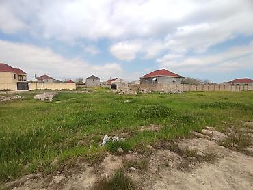 binədə: Kənd təsərrüfatı, Kupça (Çıxarış) — 9