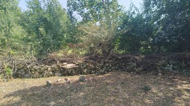 Torpaq sahələrinin satışı: Tikinti, Mülkiyyətçi, Kupça (Çıxarış) — 3