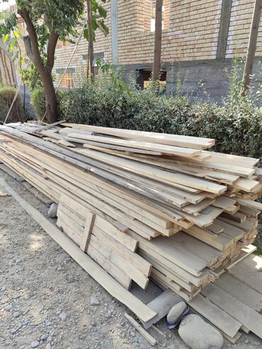 Декоративные деревья: Саженцы деревьев: Павловнии, Платная доставка at lalafo.kg — 17 Декоративные деревья: Саженцы деревьев: Павловнии, Платная доставка — 17