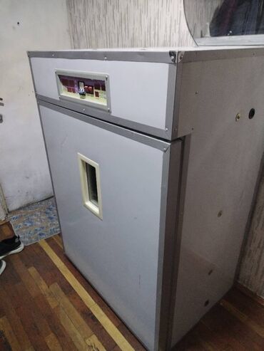inqibatorlar: 1100 yumurta, Çin, Fabrik istehsalı