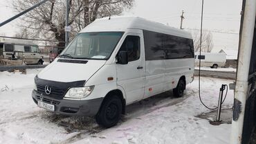 Легкий грузовой транспорт: Легкий грузовик, Mercedes-Benz, Стандарт, 2 т, Б/у