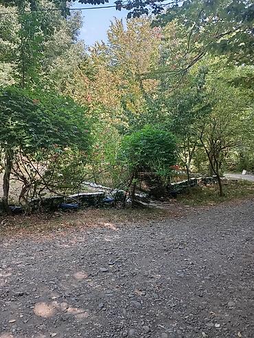 Günlük kirayə evlər: Masalli rayonu. İsti su istirahet merkezine yaxin. Turan restoranina — 32