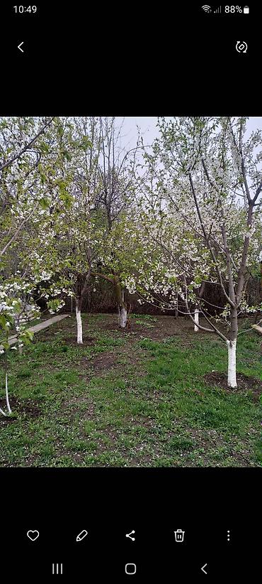 Продажа дачи: Продаётся дом дача.Трёх уровней.Первый этаж это цокольный.Там — 15