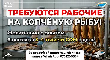 швея на дому: Требуется Разнорабочий на производство, Оплата: Ежедневно, Без опыта — 1