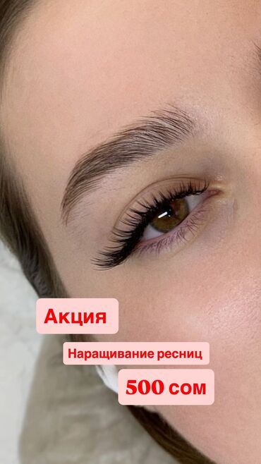 портер грузовые перевозки: Кирпиктер, 2D, 3D, Голливуд, Гипоаллергендик материалдар