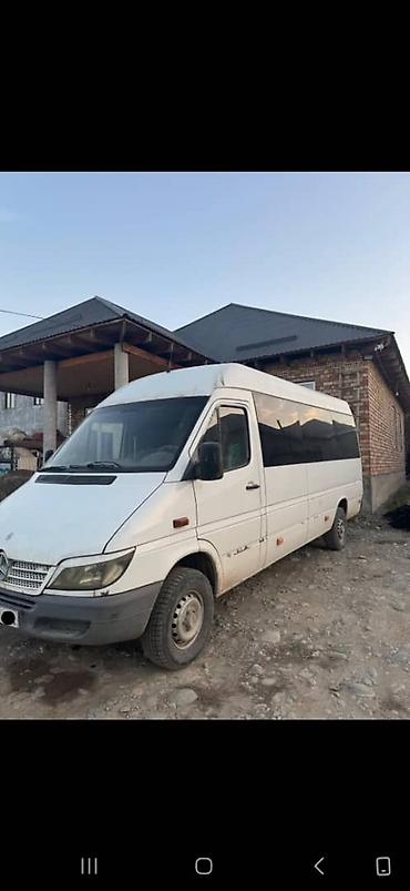 rental car: Mercedes-Benz Sprinter (длинная база, высокий крыша), белый — 6