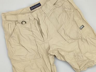 Shorts: Shorts for men, L (EU 40), condition - Good