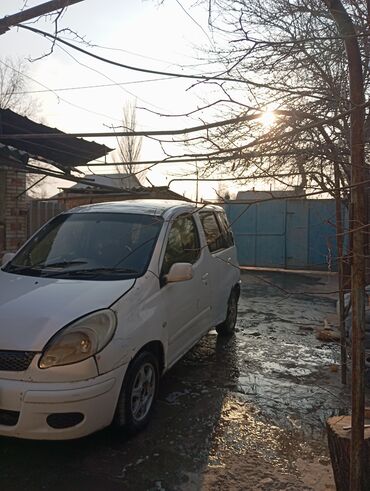 Toyota: Toyota Funcargo: 2005 г., 1.3 л, Автомат, Бензин — 3