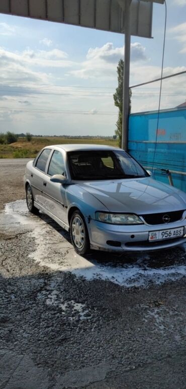 Opel: Opel Vectra: 2000 г., 2 л, Механика, Дизель, Седан