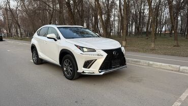 Lexus: Lexus NX: 2018 г., 2.5 л, Вариатор, Гибрид, Внедорожник