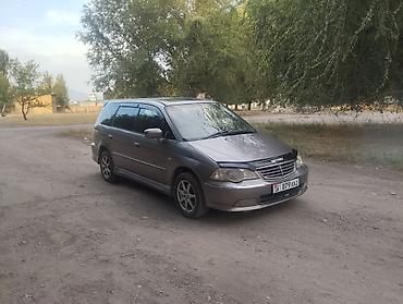 devo matiz: Honda Odyssey: 2001 г., 3 л, Автомат, Газ, Универсал — 4