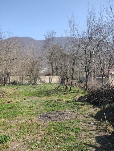 ismayillida torpaq satışı: 10 sot, Biznes üçün, Barter mümkündür, Kupça (Çıxarış)