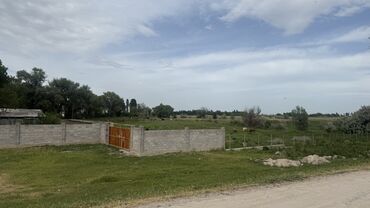 Сельхоз предприятия: Продаю Кошара, 100 соток, Действующий, Скважина, Холодная вода, Электричество — 2