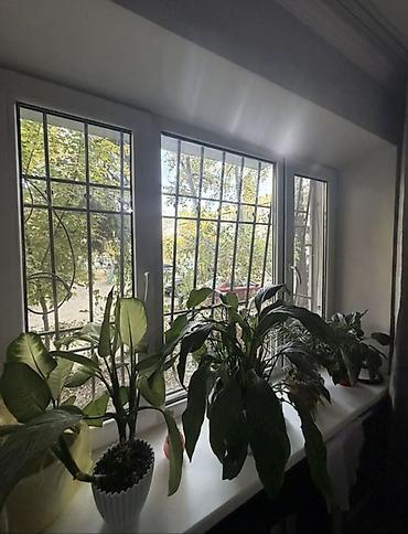 массаж манас шаары: 1 комната, 32 м², Хрущевка, 1 этаж, Дизайнерский ремонт — 3