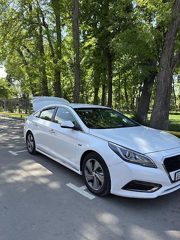 купить авто хендай соната: Hyundai Sonata: 2017 г., 2 л, Автомат, Седан — 4