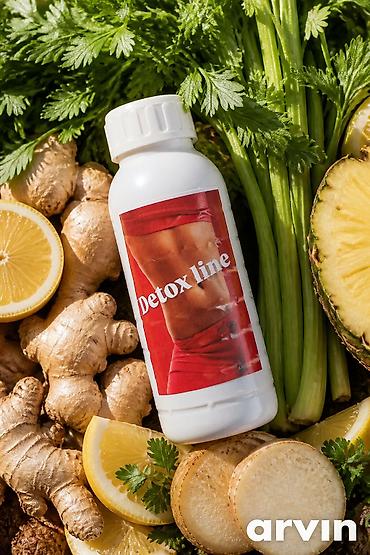 Suplementi: **Detox line čaj + A1 L-Carnitine kapsule** Prirodni biljni program — 23