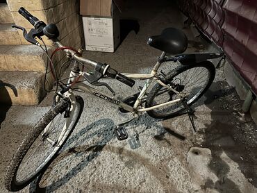 велосипед colnago: Продаю или меняю на телефон
КорейскаЯ в хорошем состоянии