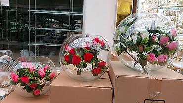 Akvariumlar: Akvarium İstənilən növdə, ölçüdə yumru akvariumlar, terrariumlar — 3