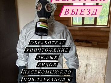 удаление запаха: Дезинфекция, дезинсекция | Клопы, Блохи, Тараканы | Транспорт, Офисы, Квартиры