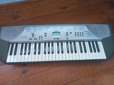 Pianolar: Sintezator, Casio