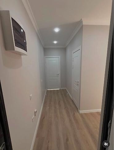 фламинго: 1 комната, 45 м², Элитка, 8 этаж, Свежий ремонт — 4