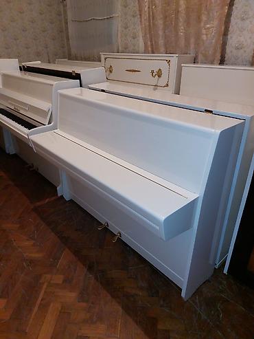 Musiqi alətləri: Pianino PETROF Cexiya istehsalı. İdeal vəziyyədə. Cadrılma və köklənmə — 3