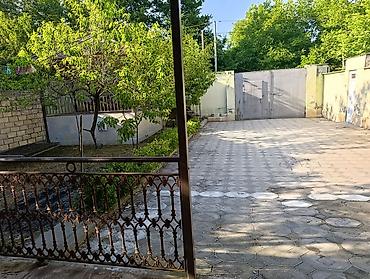 quba a frame evler: QEBELEDE Kənd evi – geniş həyət və meyvə ağacları ilə - Tək — 7