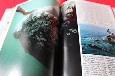 Knjige: NATIONAL GEOGRAPHIC JUN 1987. | National Geographic Jun 1987 — 12