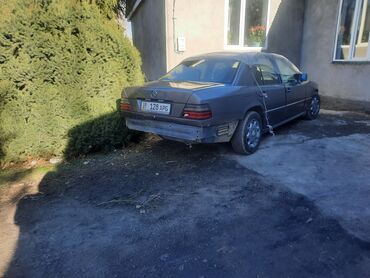 Mercedes-Benz: Mercedes-Benz W124: 1994 г., 2.2 л, Механика, Бензин, Минивэн