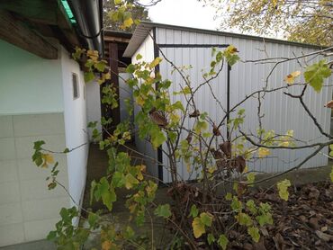 Kuće na prodaju: Prodajem manju vikendicu od 52m2 u Somboru na Bačkom kanalu kod mosta na lalafo.rs — 12 Kuće na prodaju: Prodajem manju vikendicu od 52m2 u Somboru na Bačkom kanalu kod mosta — 12