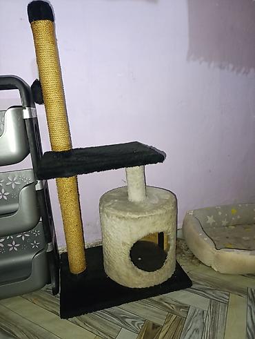 горшок для кота: Домик для кошек б/у — 1