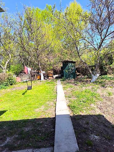 Продажа дач: Продаю дачу от Нижней серафимовке от города 15 км.Участок 4,5 соток — 11