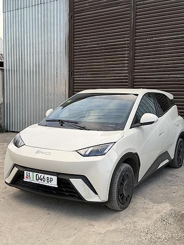 BYD: BYD Seagull: 2025 г., Робот, Электромобиль, Хэтчбэк — 1
