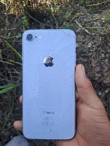 IPhone SE (2‑го поколения), 64 ГБ, цвет белый. Основные