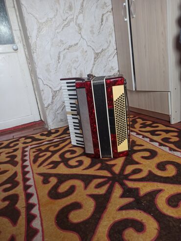 синтезатор музыкальный инструмент купить: Аккордеон с клавиатурой (правая рука) и кнопочным басовым блоком