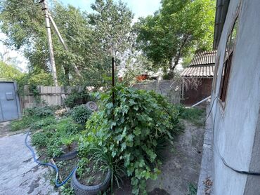 Продажа домов: Дом, 100 м², 8 комнат, Собственник, ПСО (под самоотделку) at lalafo.kg — 3 Продажа домов: Дом, 100 м², 8 комнат, Собственник, ПСО (под самоотделку) — 3