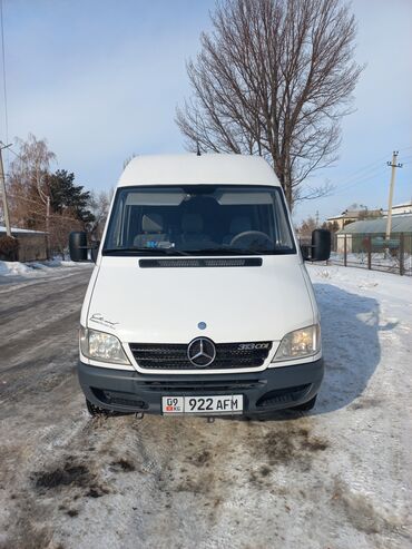 Mercedes-Benz: Mercedes-Benz : 2003 г., 2.2 л, Механика, Дизель, Фургон