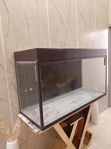 akvarium baku: Dördbucaq akvarium, Boş, 300 l, Ünvandan götürmə — 3
