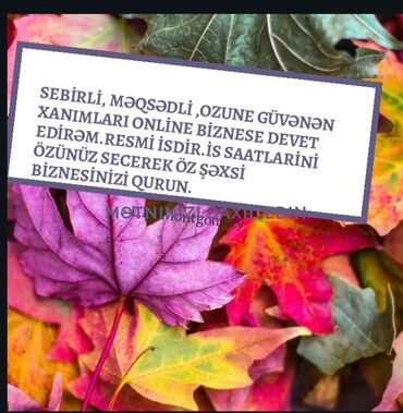 Fikri ciddi və məsuliyyətli xanımlari online biznese dəvet edirəm