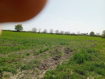 Torpaq sahələrinin satışı: 187 sot, Kənd təsərrüfatı, Barter mümkündür, Texniki pasport -da lalafo.az — 16 Torpaq sahələrinin satışı: 187 sot, Kənd təsərrüfatı, Barter mümkündür, Texniki pasport — 16