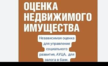 отчеты: Компания | Кредит — 1