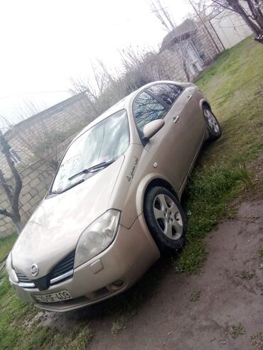 kiredit maşınlar: Nissan Primera: 2 l | 2004 il Sedan