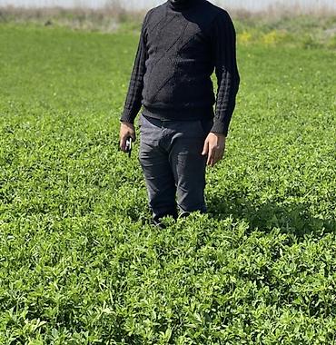 Daşınmaz əmlak: 100 sot, Kənd təsərrüfatı, Barter mümkündür, Kupça (Çıxarış) — 10