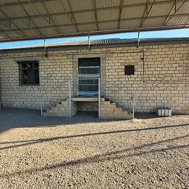 evler gence: 5 otaqlı, 1000 kv. m, Kredit yoxdur, Orta təmir — 3