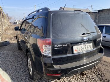 стоп форестер: Subaru Forester: 2009 г., 2.5 л, Автомат, Бензин, Внедорожник