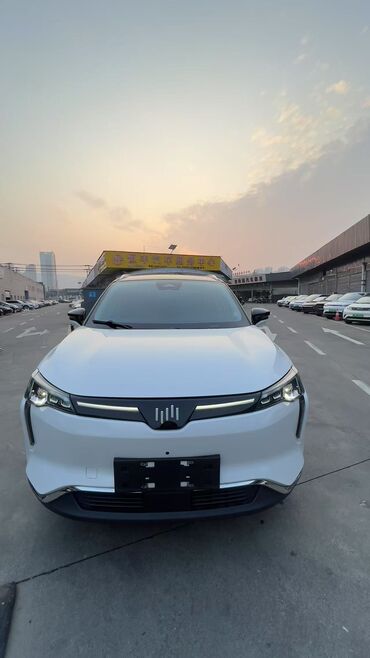 Weltmeister: Weltmeister W6, 2022 г., 40000 км, Передний, На заказ — 13