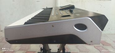 Gitaralar: Sintezator, Korg, İşlənmiş