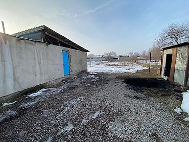 Продажа коттеджей и домов: Продаю дом. Аламидин район село гроздный. Мектеп, садик. рядом — 5