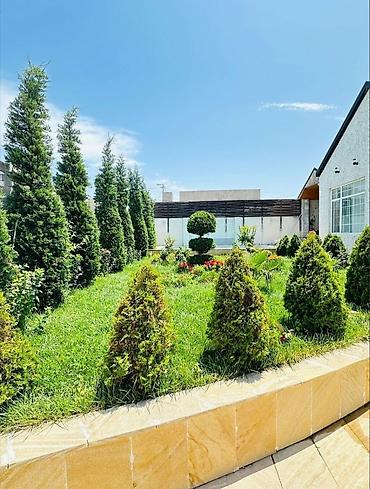 hövsanda: Bağ evi – yaşıllıq və hovuzlu rahat ailə məkanı - Geniş həyət — 2